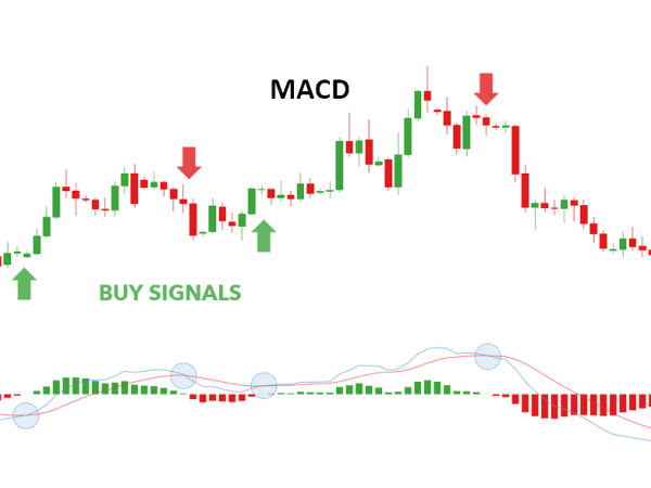 Trade Metals, Energies, Currencies and Indices With BCM